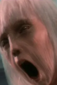 Poltergeist II: The Other Side